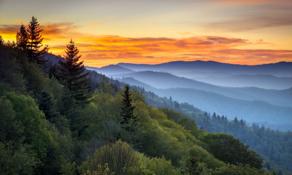 Tennessee Little Miller Act