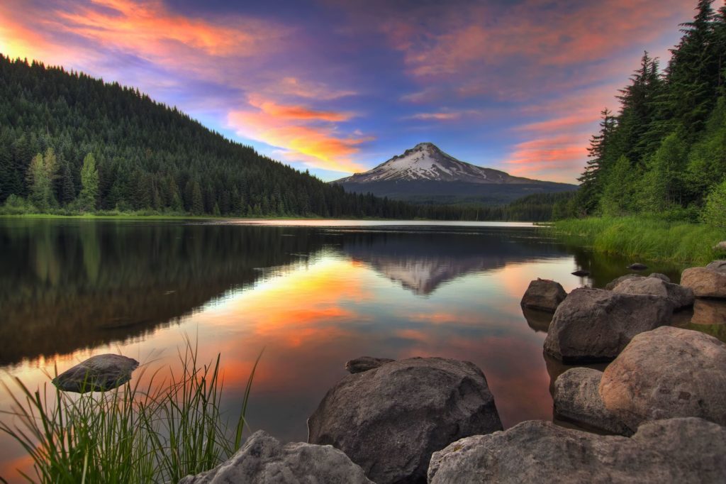 Oregon Little Miller Act
